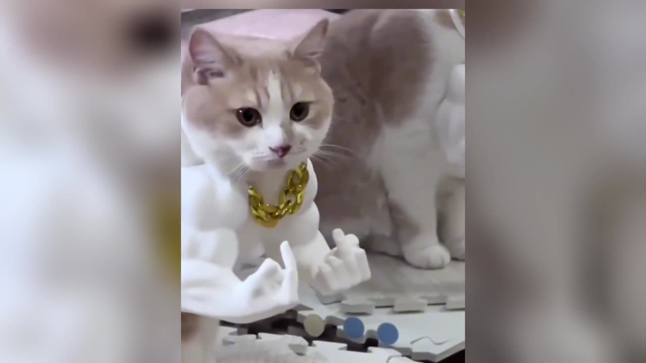 Cats with Tiny Hands: Funny Feline Fails & Hilarious Paw Puns