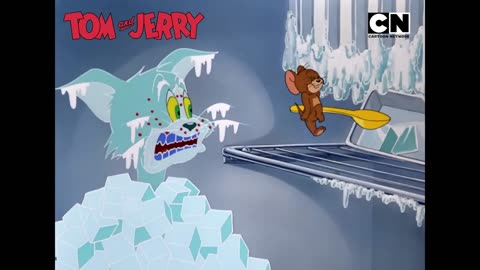 Tom & Jerry Funny Videos