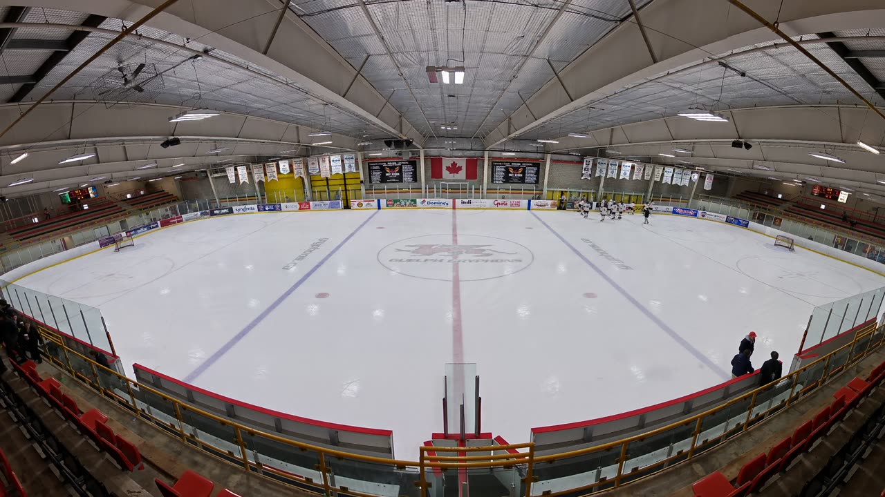 Celtics v Lions Dec 11-5