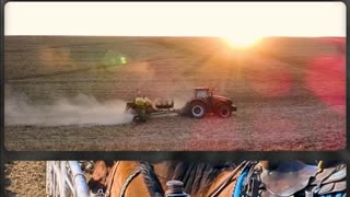 Trent Loos in the Morning - 1/28/2026