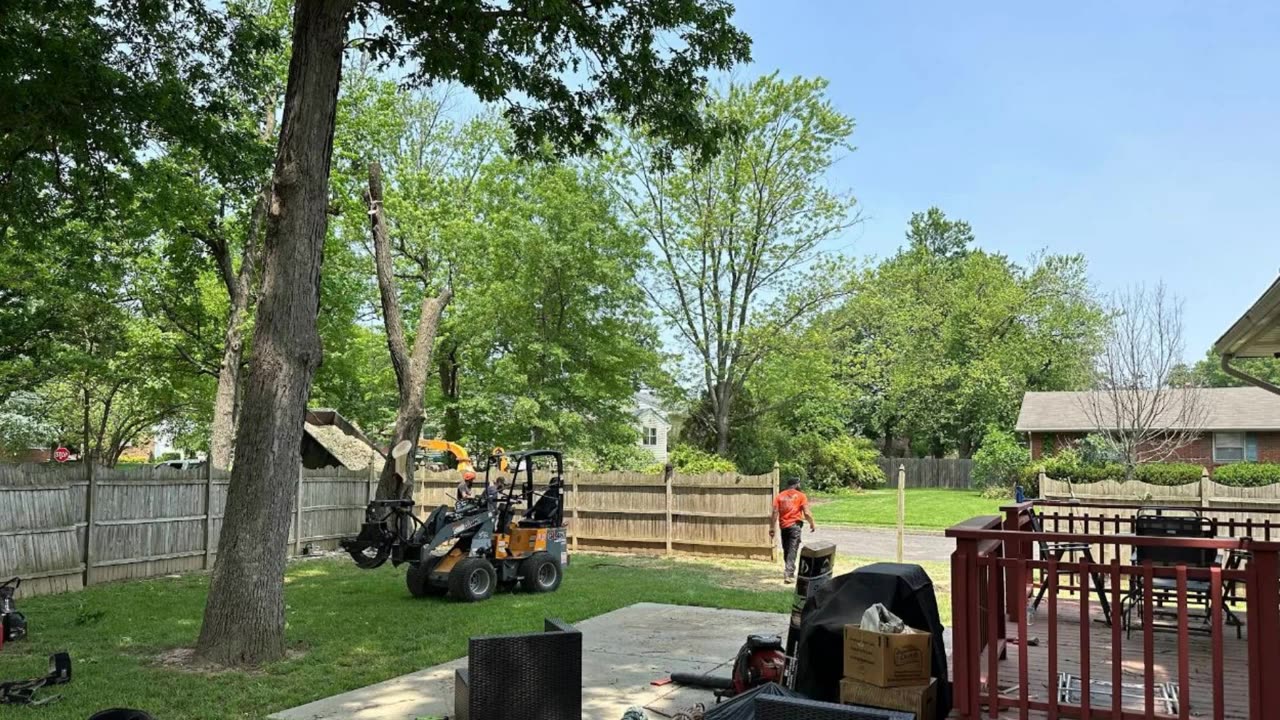 Team Gale Tree Service in Cinnaminson, NJ