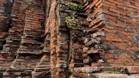 Treasures Hidden in the Sand – Episode 3: Noach