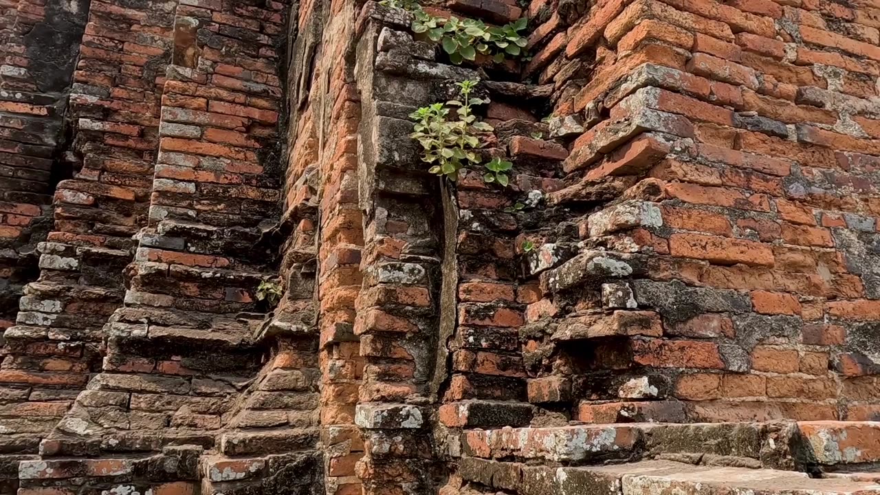 Treasures Hidden in the Sand – Episode 3: Noach