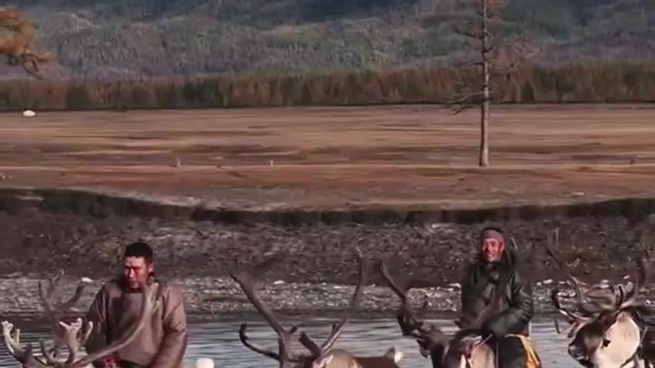 🤯✨ Meet Mongolia's Last Nomadic Reindeer Herders! | FeedMyCuriosity