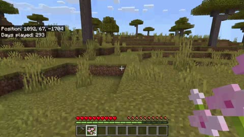 3077 minecraft we da best