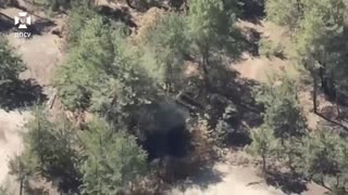 Border guards destroyed the occupants' equipment hidden in the forest belt