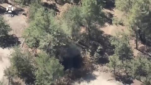 Border guards destroyed the occupants' equipment hidden in the forest belt
