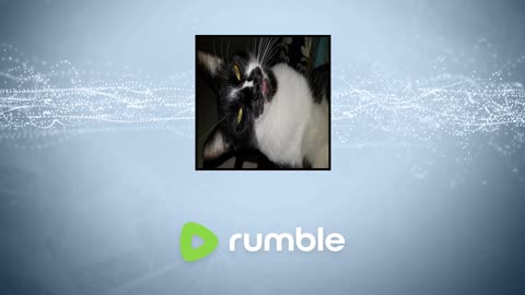 beamng drive no prep street car drag