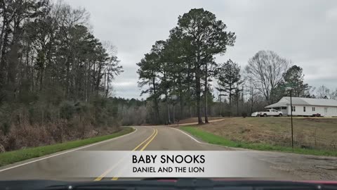 OTR Lagniappe Shorts - Daniel and the Lion (Baby Snooks)