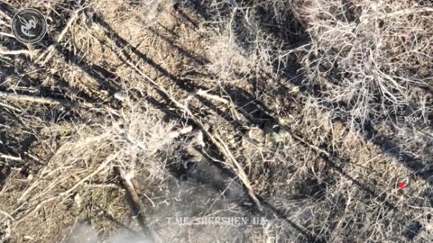 єбало відірвало