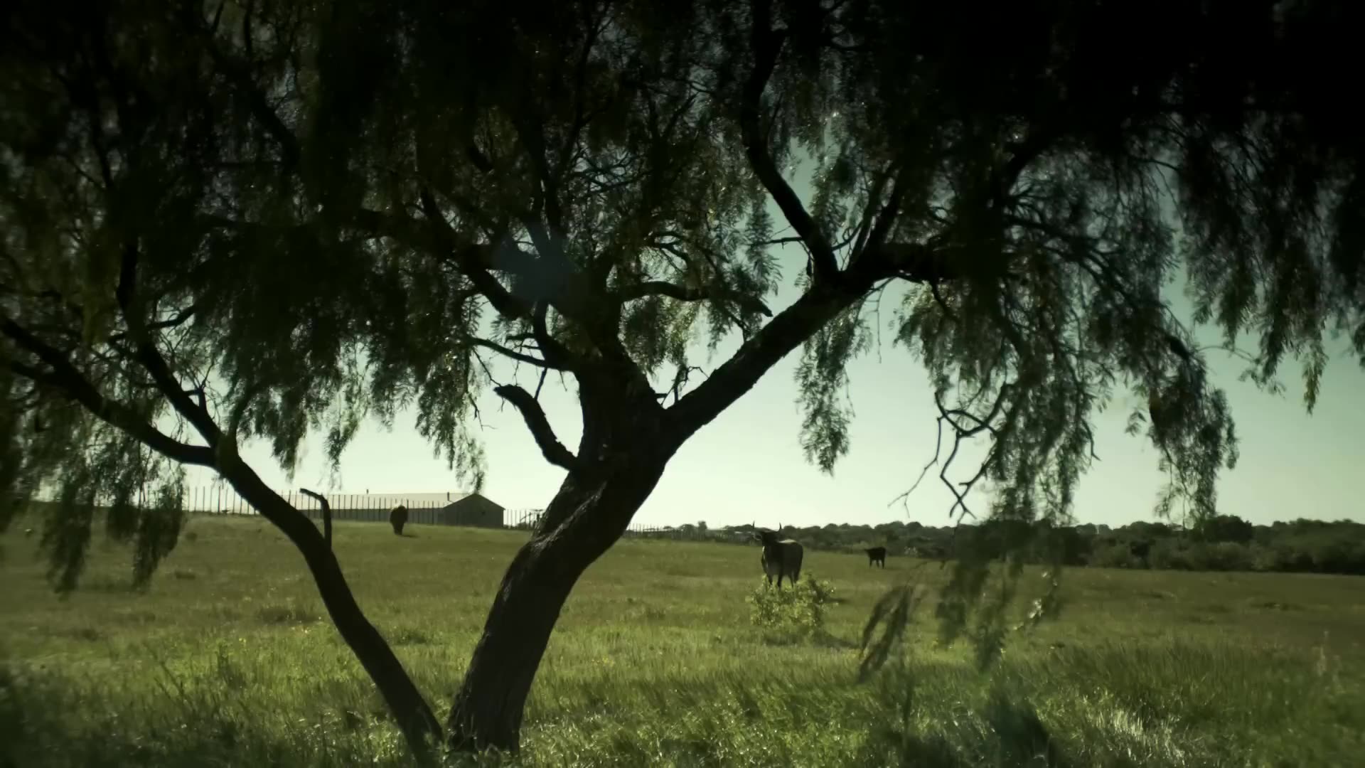 3000 km/h sans bruit: l’OVNI qui a défié l’armée américaine - Rencontre du troisième type
