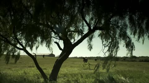 3000 km/h sans bruit: l’OVNI qui a défié l’armée américaine - Rencontre du troisième type