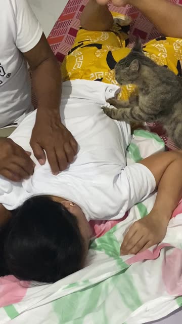 The Purr-fessional Massage Therapist