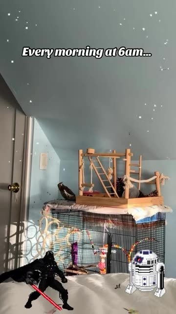 When R2D2 is waking you up.