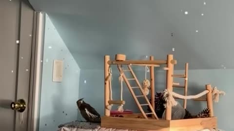 When R2D2 is waking you up.