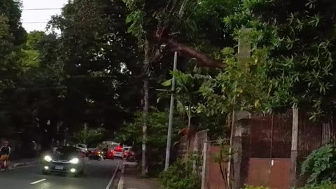 Excellent Afternoon on Mapagkawanggawa Street in Quezon City, Philippines