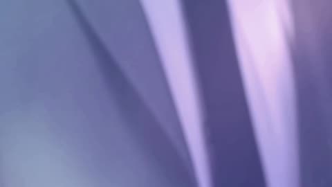 Replace 10 HR Tools: How Deel Engage Streamlines Performance & Reviews