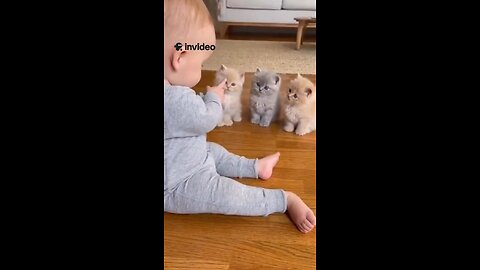 When innocence meets cuteness overload 😍🐾 This baby is already a master trainer teaching three