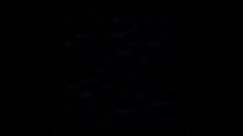 Mark Kelly Mocks Trump Supporters: ‘Some of Them Are Crazy’