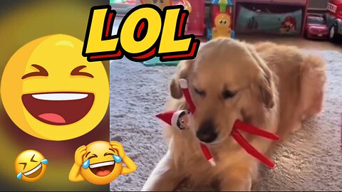 Funny Viral Videos | Try Not to Laugh - Vol. 3 🤣