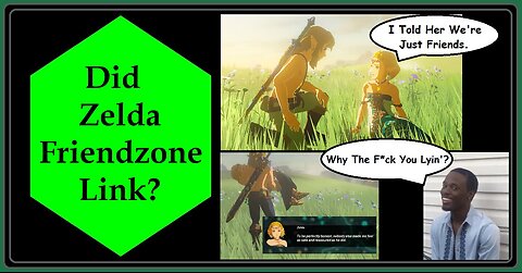 Hyrule Warriors Age of Imprisonment Zelda DESCRIBES Link as a 'Friend'