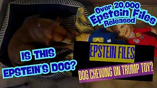 Epstein Files - Dog Playing with Donald Trump and Hillary Clinton Stuffed Toys