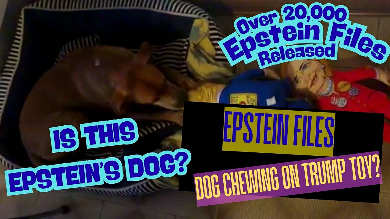 Epstein Files - Dog Playing with Donald Trump and Hillary Clinton Stuffed Toys