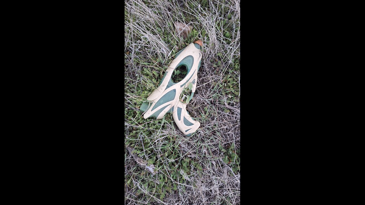 I found a lizzard while being interested Found lizzard while interested in this squirt 🔫