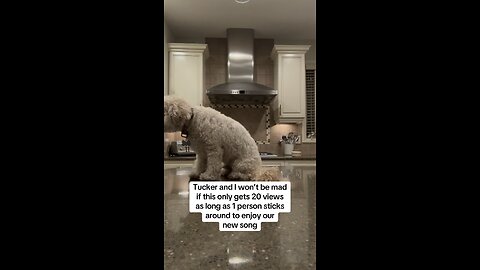 It’s been a hard year