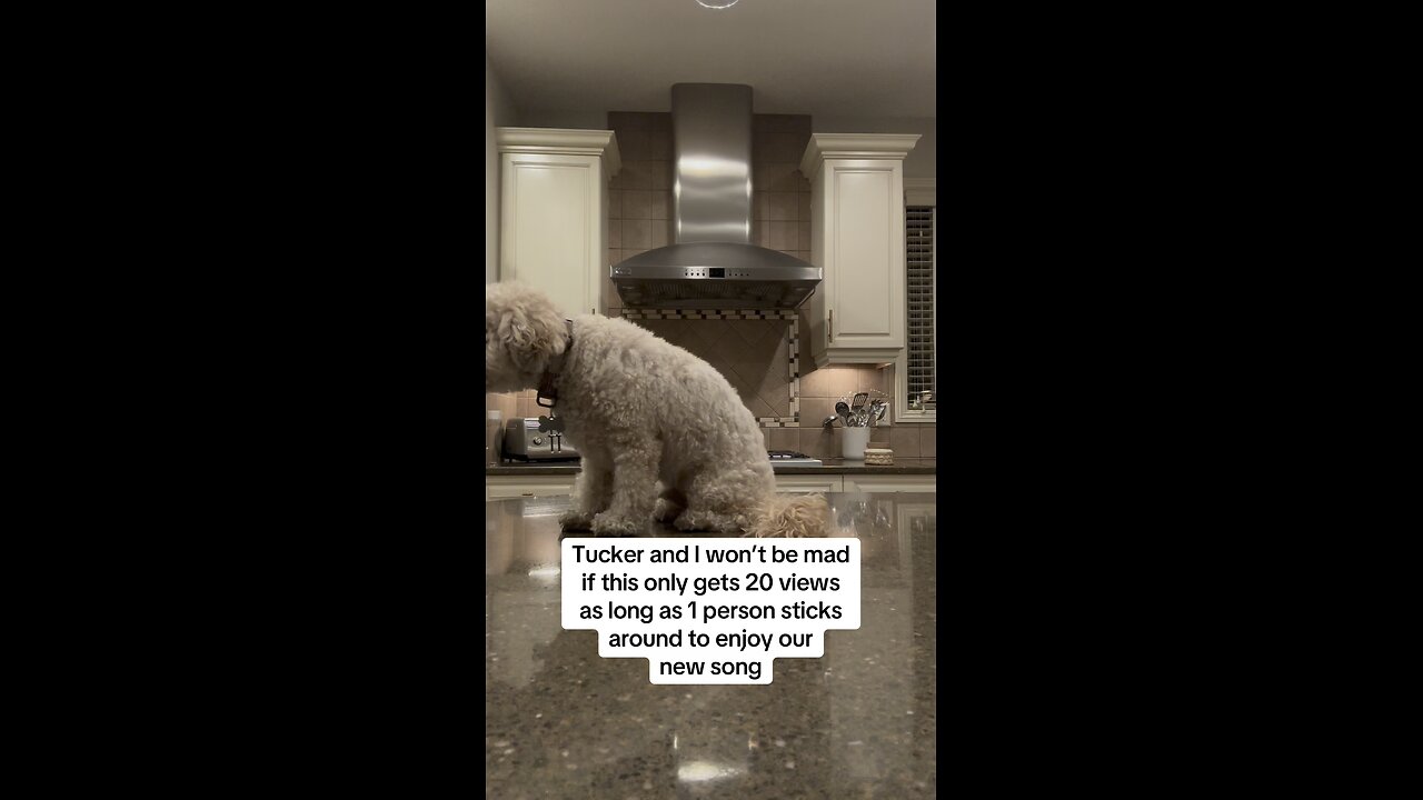 It’s been a hard year