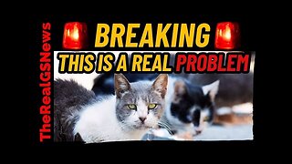 🚨 BREAKING! SOMETHING IS WRONG WITH THE ANIMALS - PAY ATTENTIO