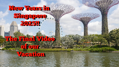 New Years In Singapore 2025!! The Last Video Or Our Vacation