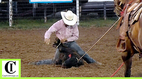 Tie-Down Roping - 2024 White Deer Rodeo