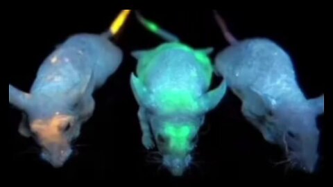 Luc!ferace...Under..The..Skin