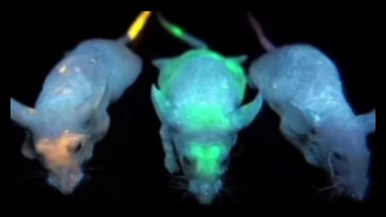 Luc!ferace...Under..The..Skin