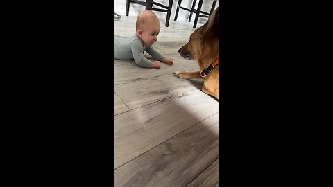 Nervous Dog Gives New Baby a Kiss || ViralHog