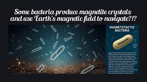 Fun Fact for Jan 4th 2026