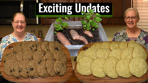 Easy Sugar-Free Coconut Cookies, Protein Breakfast Cookies, Sweet Potato Slips Update