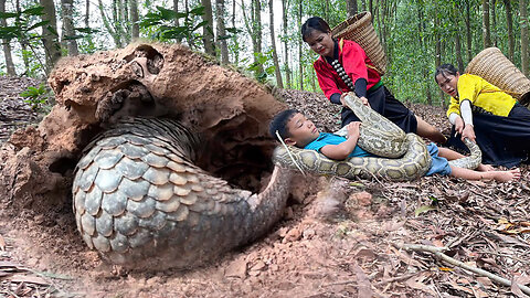 Rescues Turtle and Brother from Giant Python Attack.