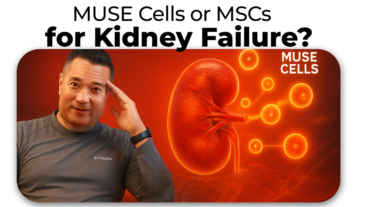 DBC Diaries Ep 61: MUSE Cells or MSCs for Kidney Failure? A patients experience with both