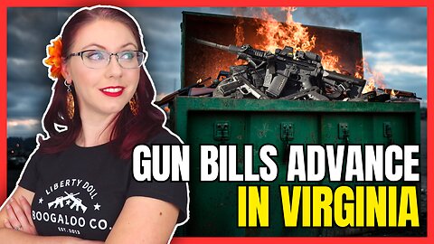 7 Huge Gun Bills Advance in Virginia