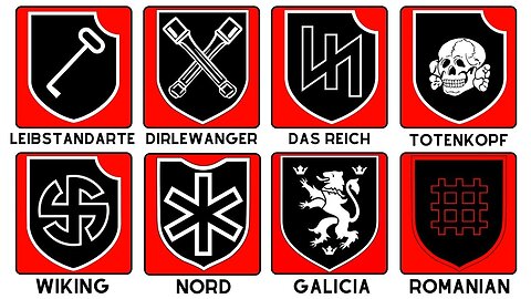 Tutte le principali truppe delle Waffen SS naziste spiegate DOCUMENTARIO Al Processo di Norimberga le SS e le Waffen-SS vennero condannate come organizzazioni criminali in quanto connesse al Partito Nazista e responsabili di numerosi crimini di guerra