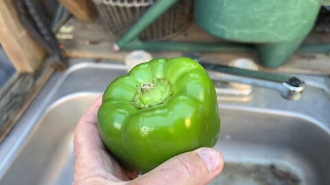 Guioiby Inside Seed Starter and This Year's Vegetable Garden - Part 3