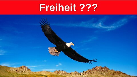 MeGGi - Freiheit ???