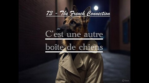 BoxOfDogs#73 - NICO! The French Connection! C'est une autre boite de chiens