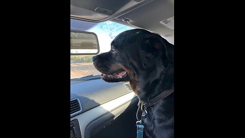 THE ROAD NOT YET TRAVELED