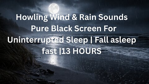 13 Hours of ambient Rain and Wind sounds to aid with sleeping BLACK SCREEN