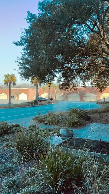 Window Washer needs a raise… 😂🐦