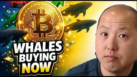 Bitcoin Whales Are Loading Up Before 2026! Here’s Why 🚨