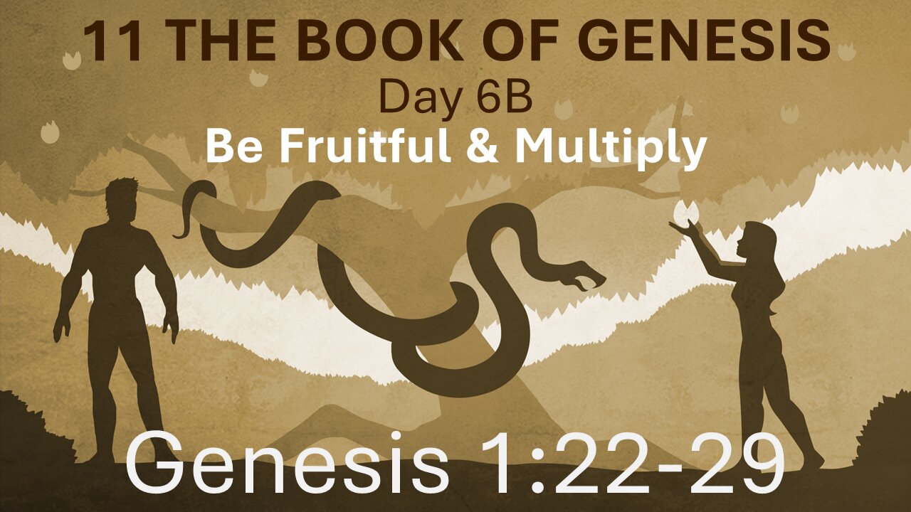 11 Genesis 1:22-29 (Be fruitful and multiply)